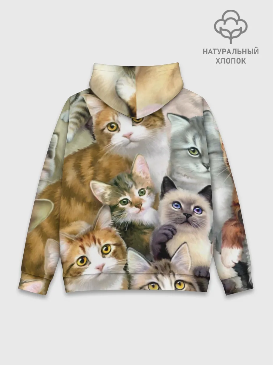 Худи мужской база хлопок / Котишики