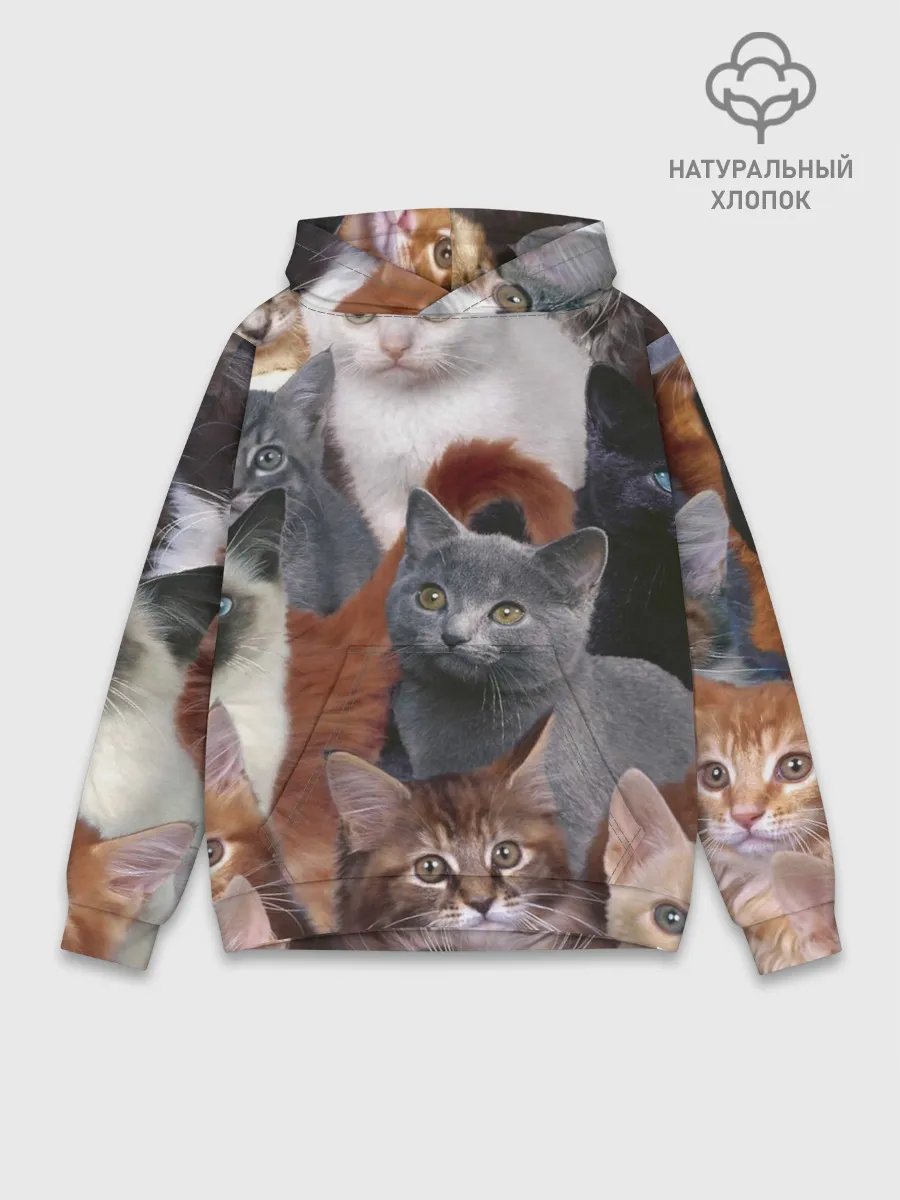 Худи мужской база хлопок / Много котов