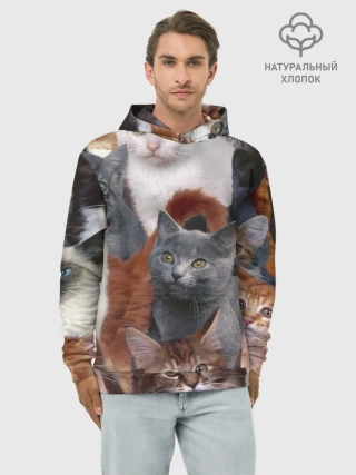 Худи мужской база хлопок / Много котов