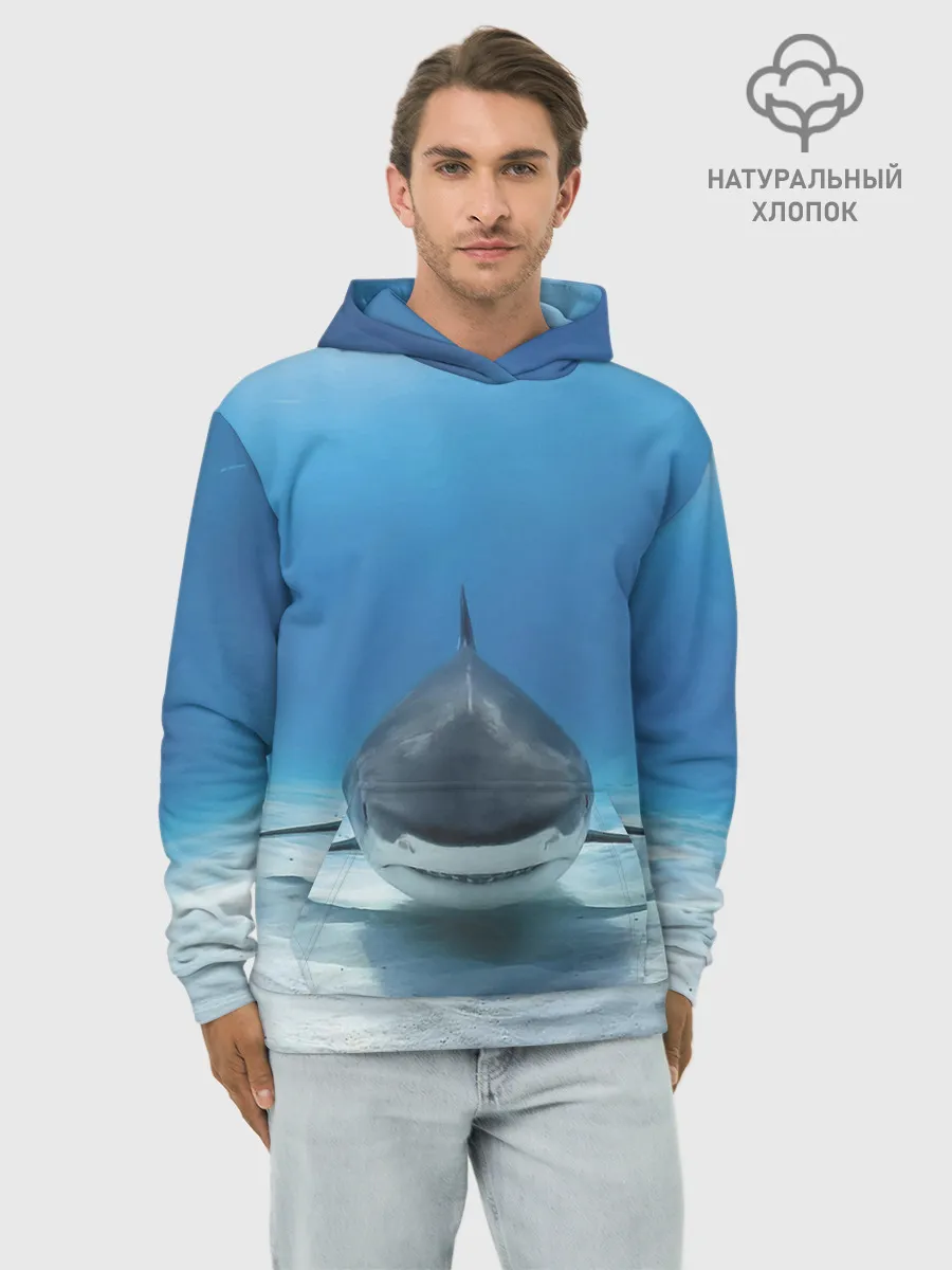 Худи мужской база хлопок / Анфас