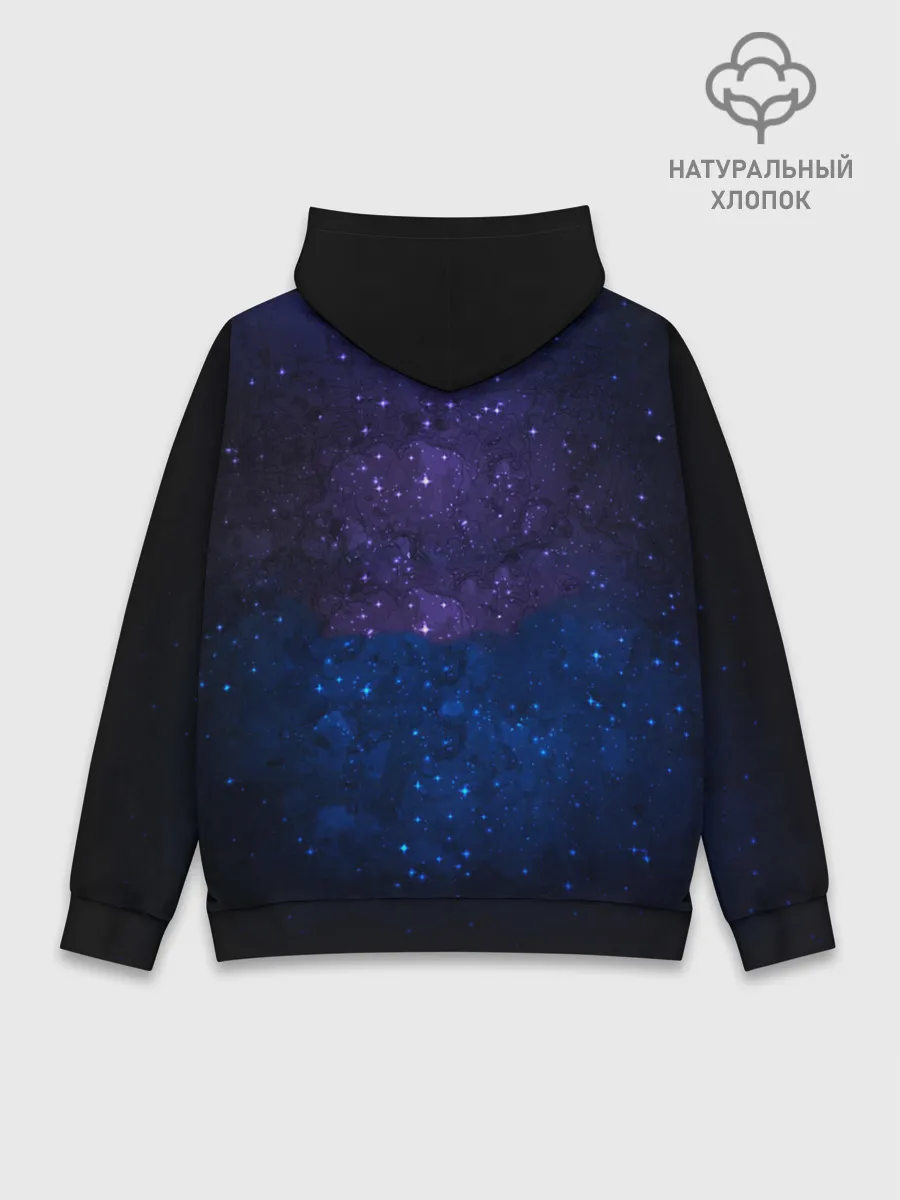 Худи мужской база хлопок / Shadow