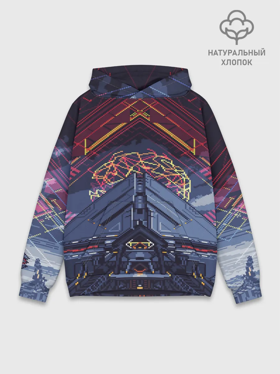 Худи мужской база хлопок / DESTINY