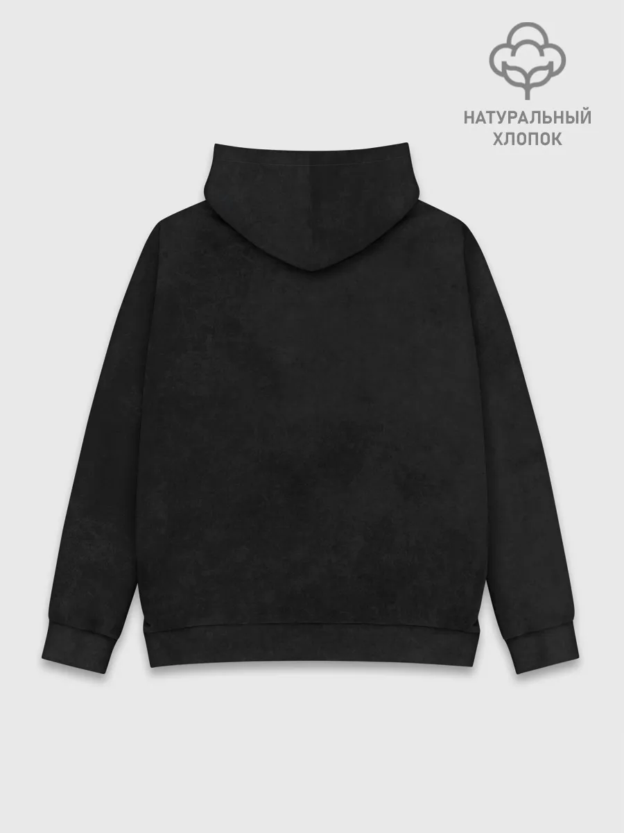 Худи мужской база хлопок / Eva 02