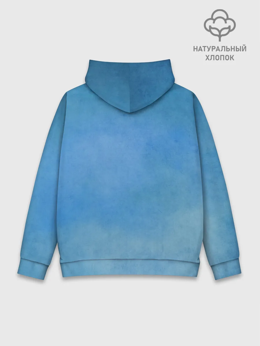 Худи мужской база хлопок / Go Dive