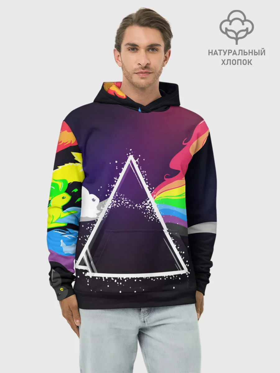 Худи мужской база хлопок / PINK FLOYD