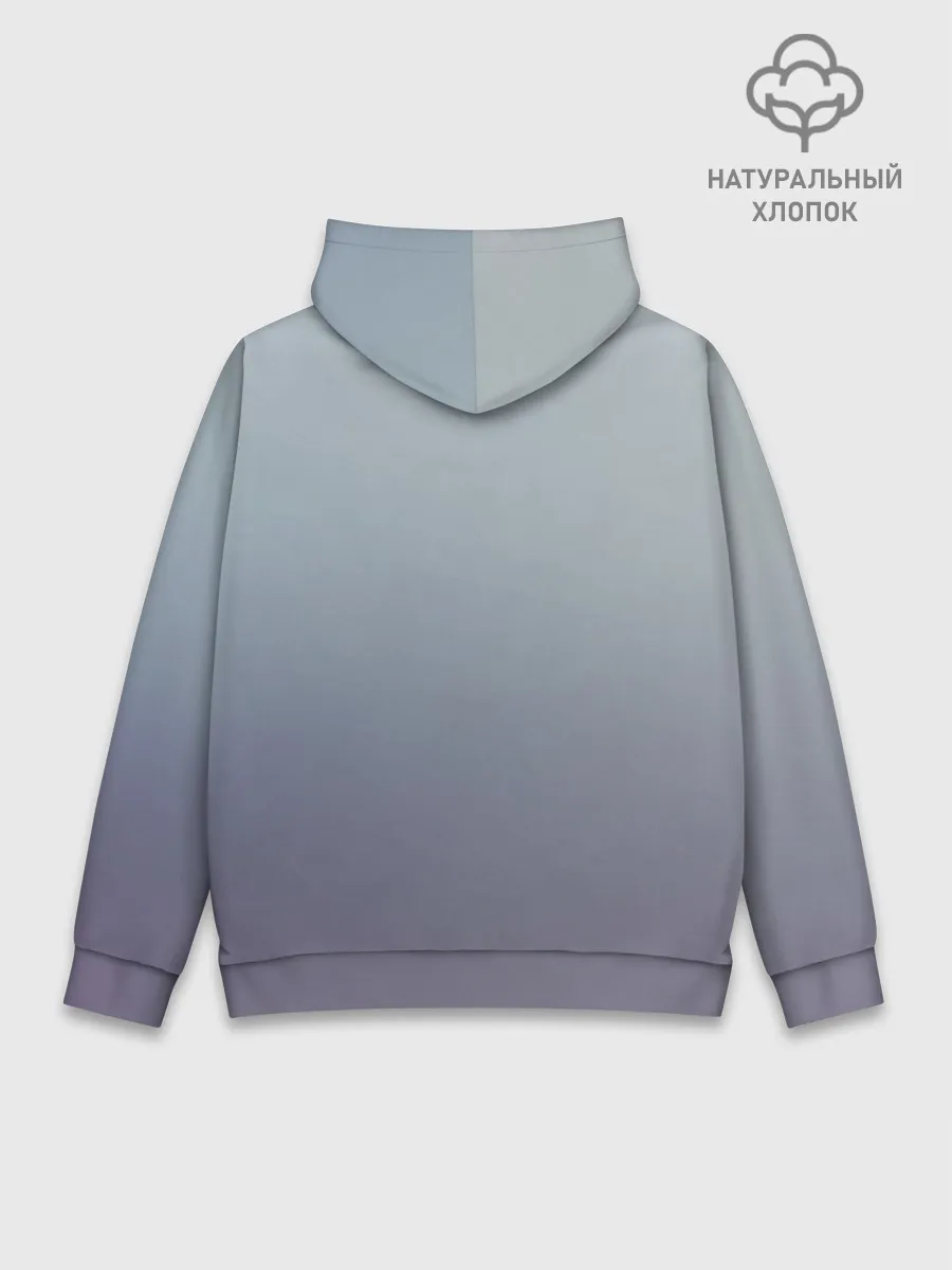 Худи мужской база хлопок / Fish