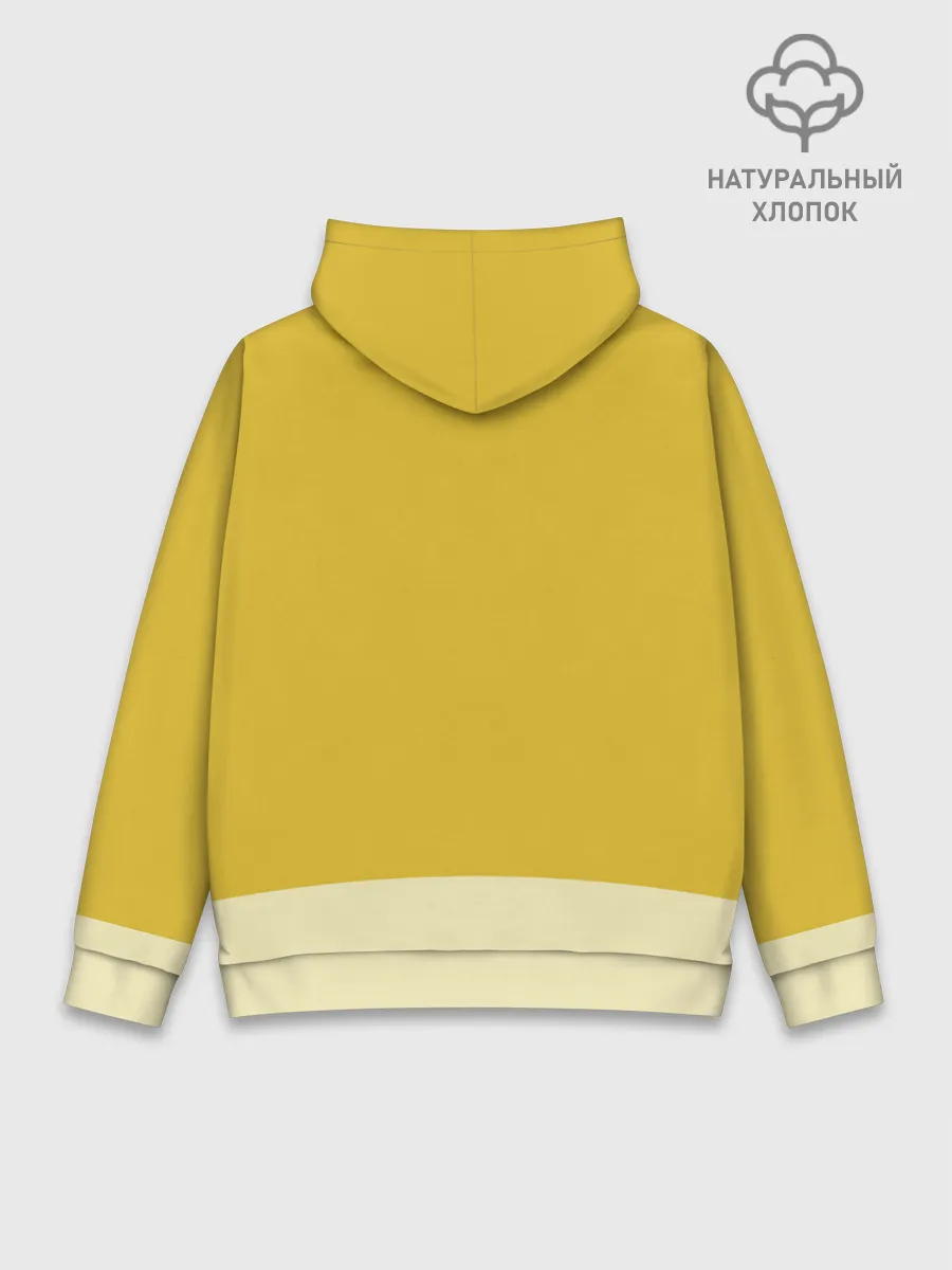 Худи мужской база хлопок / Led Zeppelin