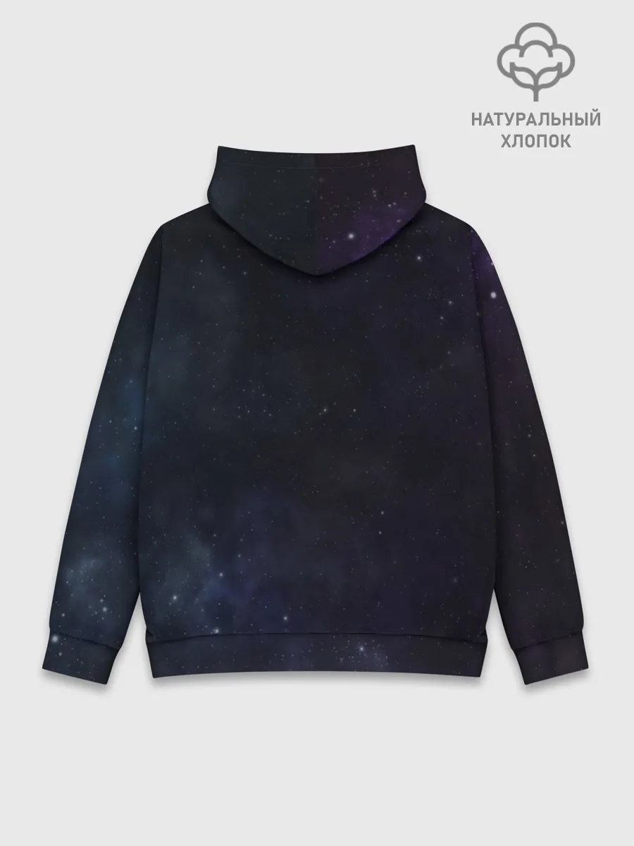 Худи мужской база хлопок / Близнецы