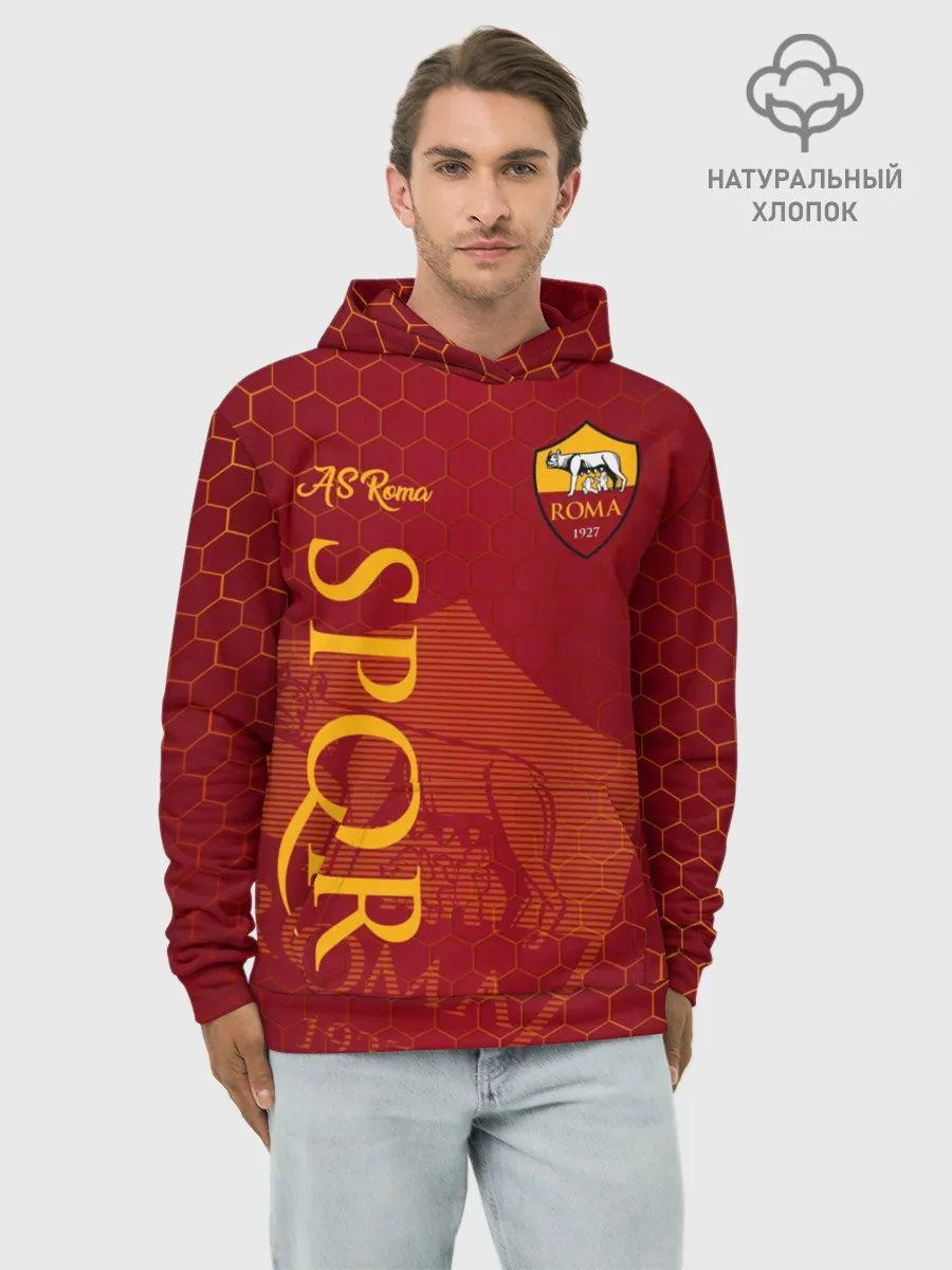Худи мужской база хлопок / Рома