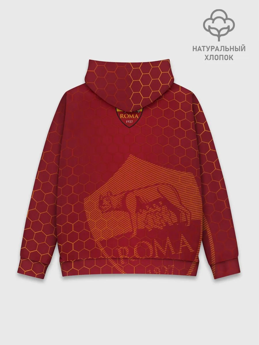 Худи мужской база хлопок / Рома