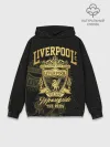 Худи мужской база хлопок / Ливерпуль