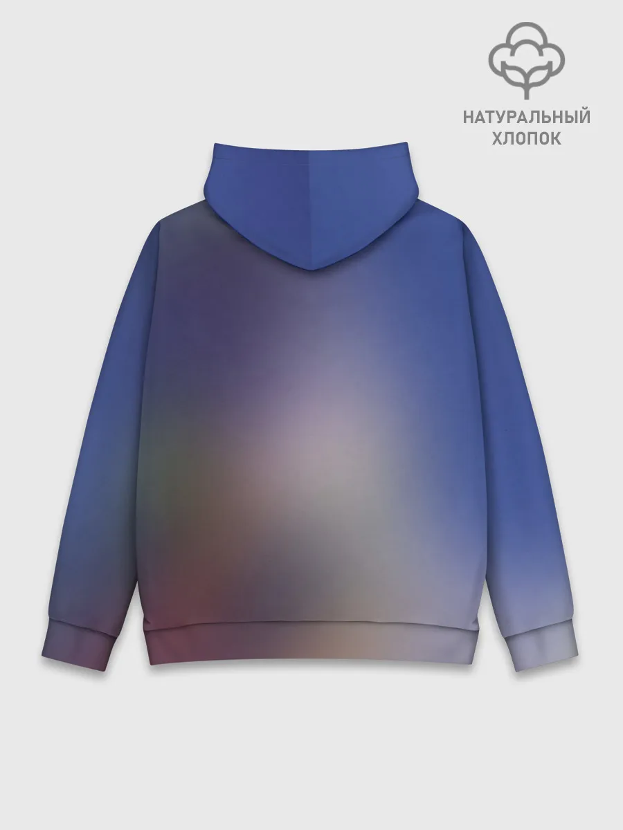 Худи мужской база хлопок / гениста франкс