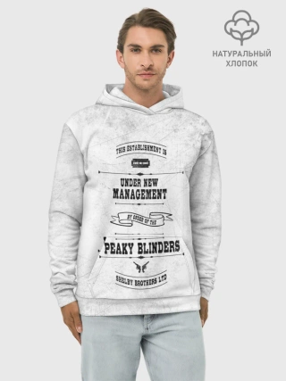 Худи мужской база хлопок / Острые козырьки