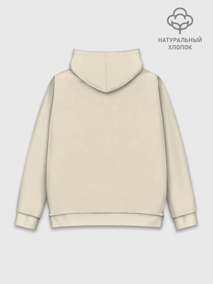 Худи мужской база хлопок / Уравнение Эйнштейна