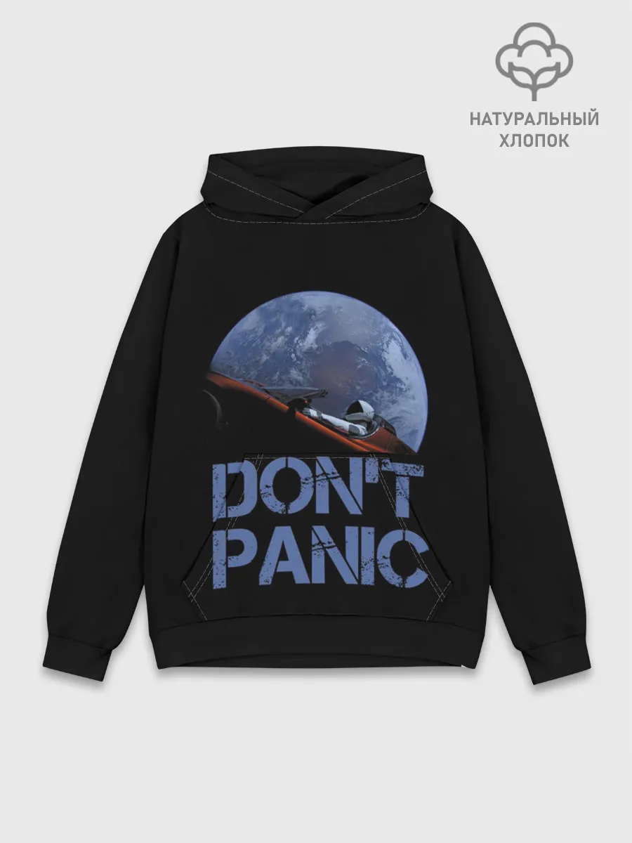 Худи мужской база хлопок / Dont Panic