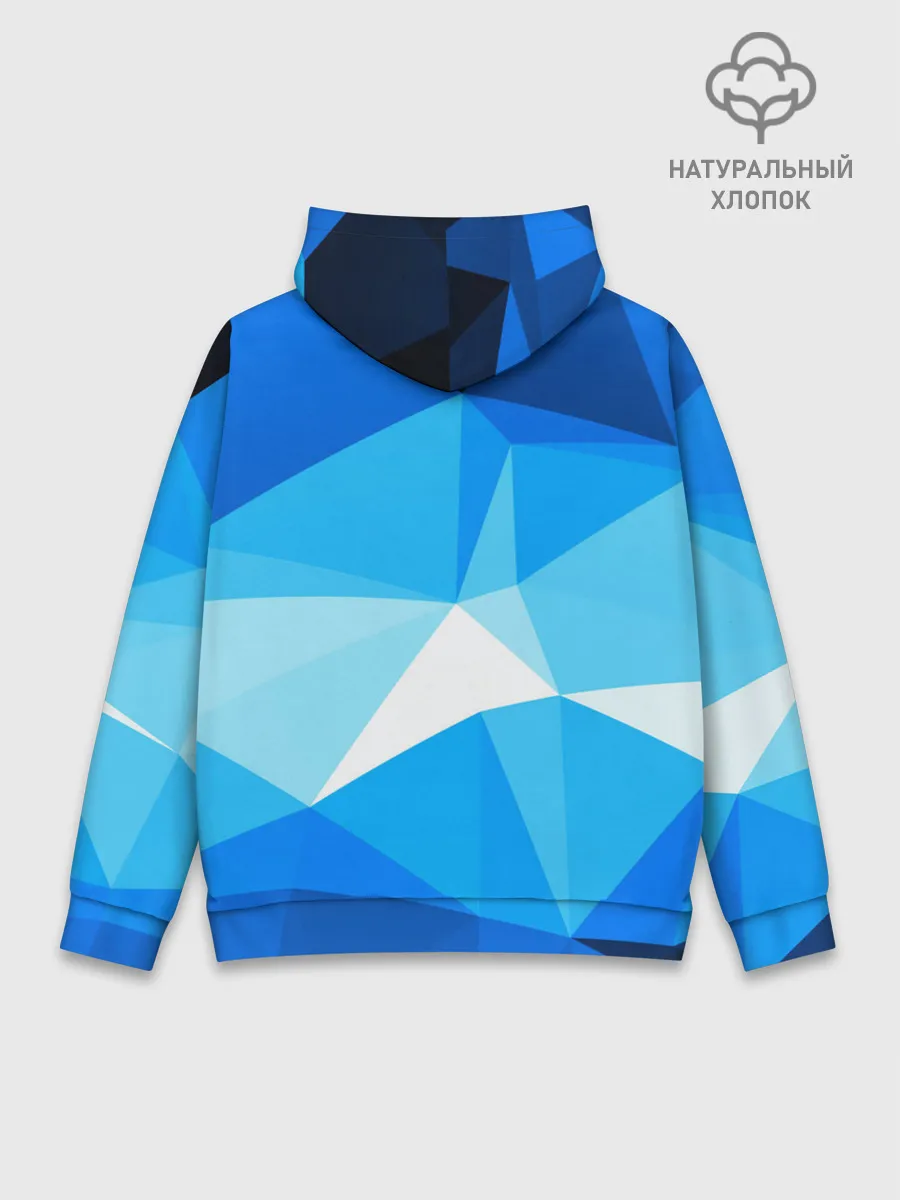 Худи мужской база хлопок / Pilygon