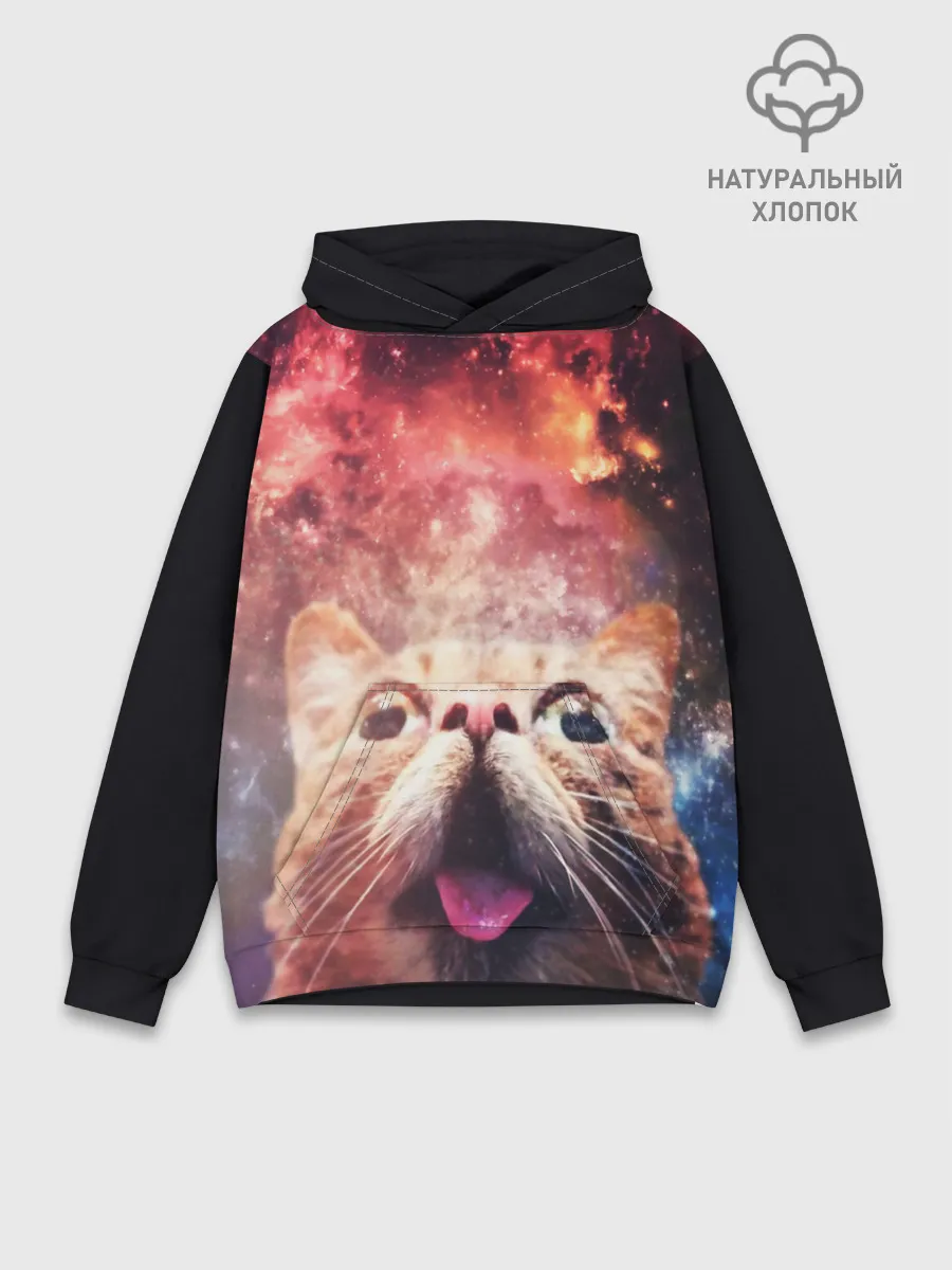 Худи мужской база хлопок / КОТ
