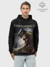 Худи мужской база хлопок / Disturbed