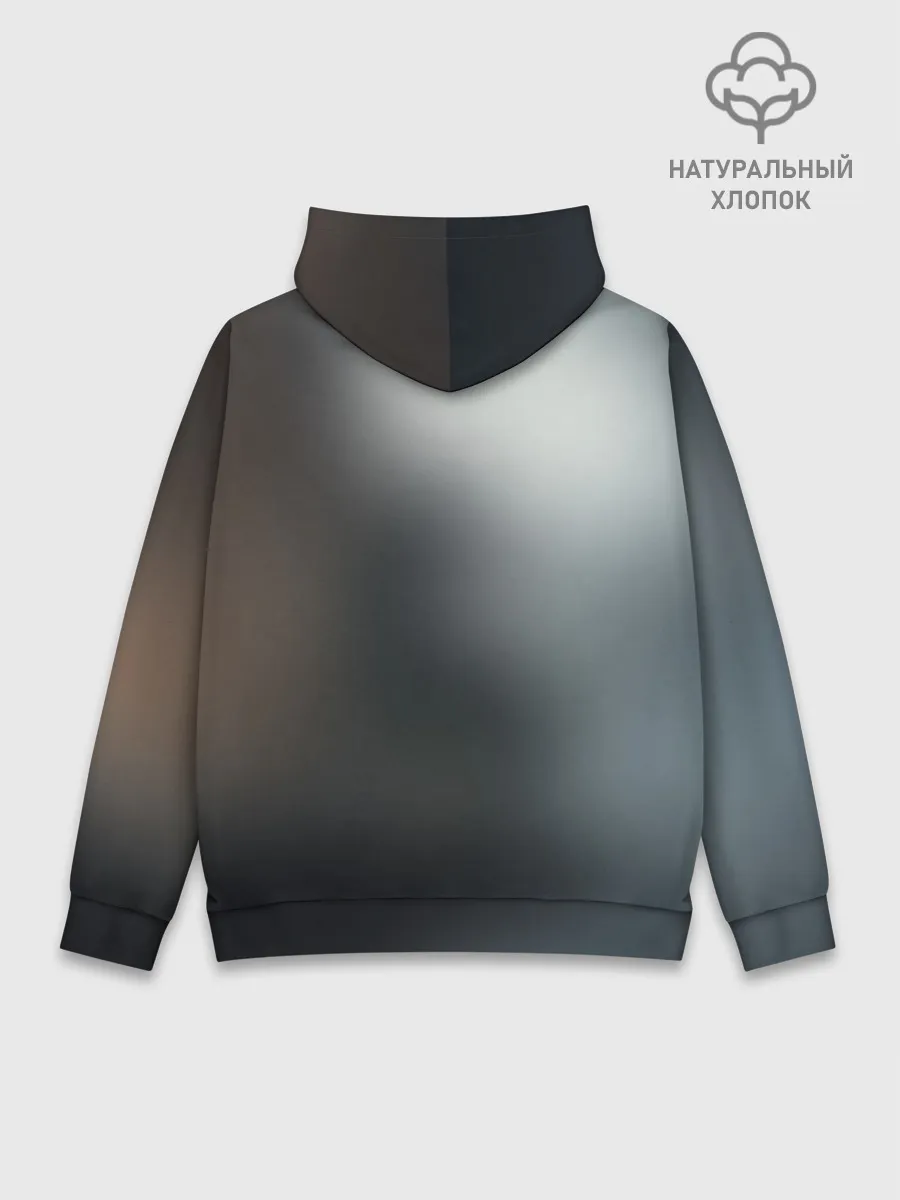 Худи мужской база хлопок / Dishonored