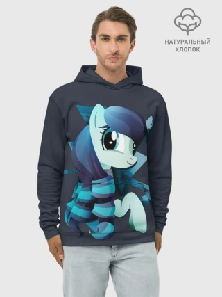 Худи мужской база хлопок / Мой маленький пони