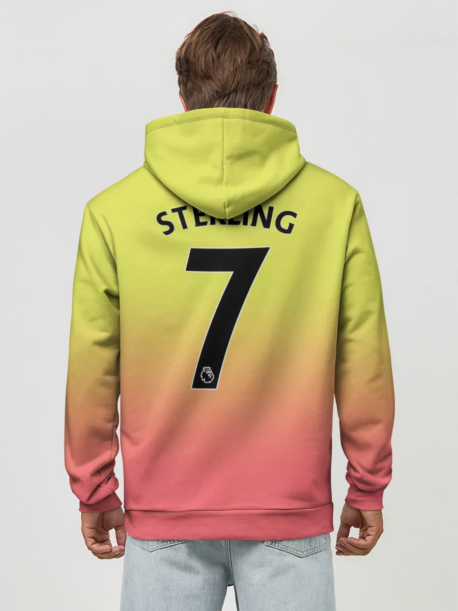 Худи мужской база хлопок / Sterling third 19-20