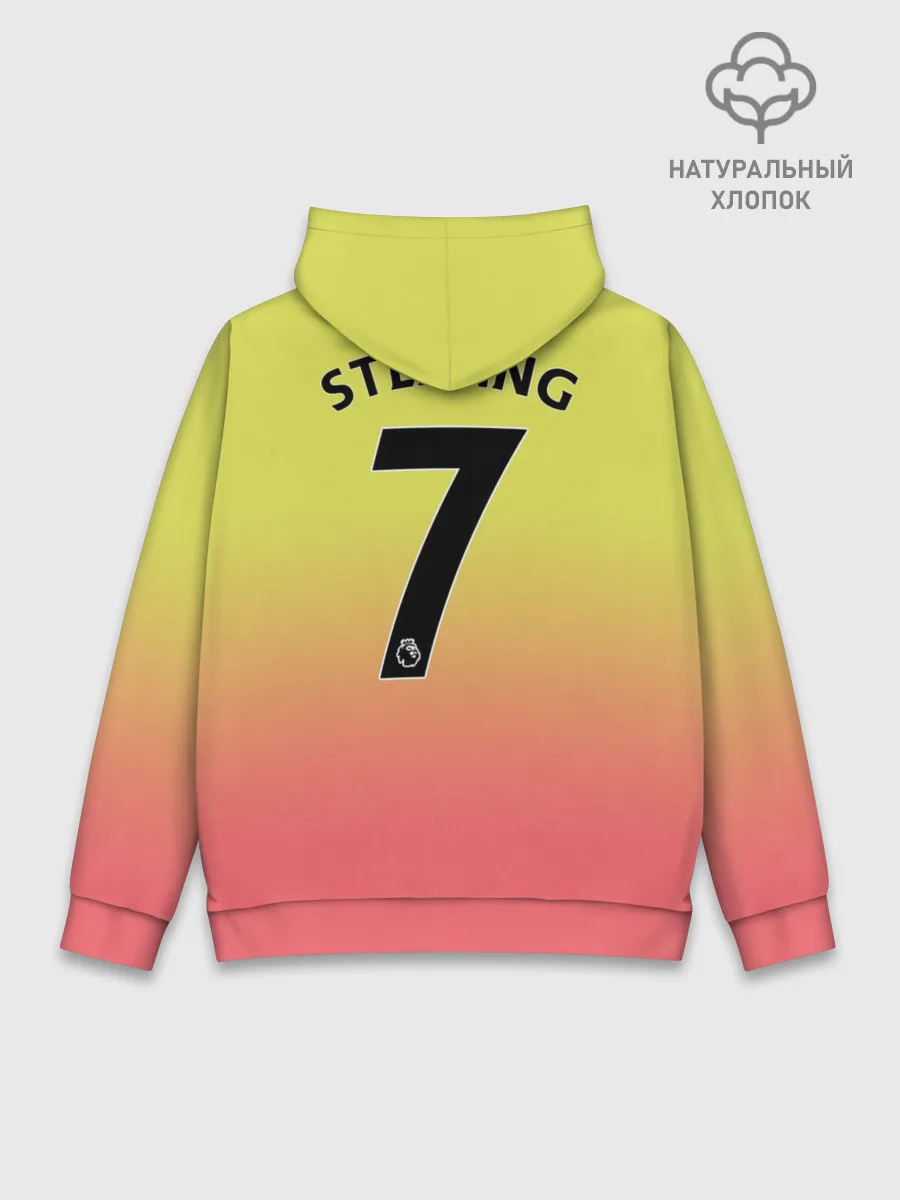 Худи мужской база хлопок / Sterling third 19-20