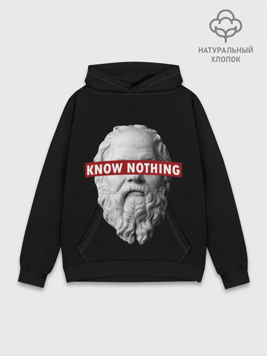 Худи мужской база хлопок / Ничего Не Знаю