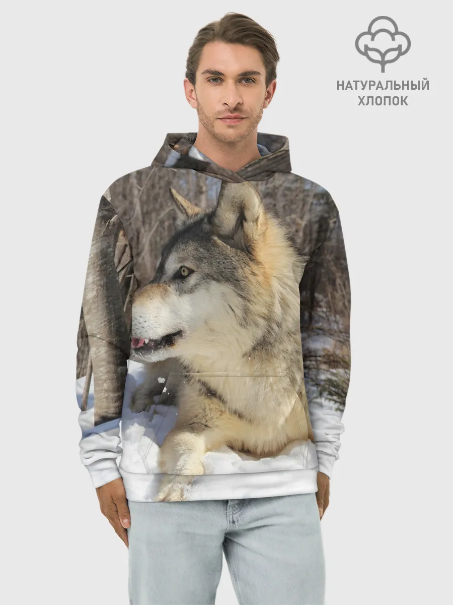 Худи мужской база хлопок / Волк лежит на снегу