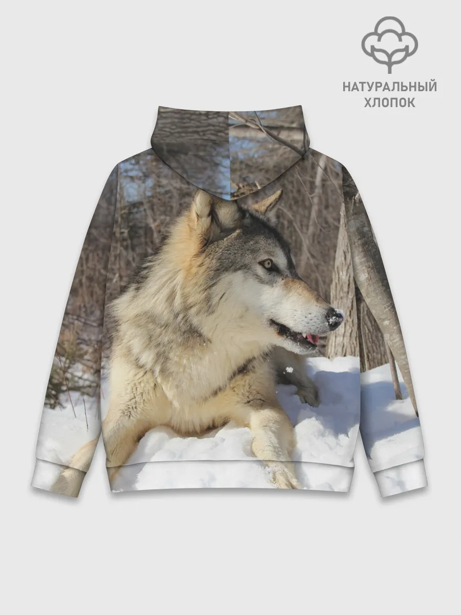 Худи мужской база хлопок / Волк лежит на снегу