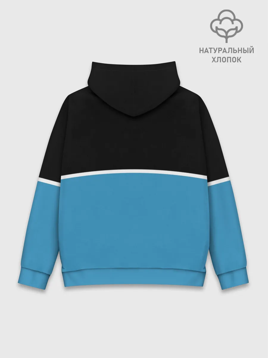 Худи мужской база хлопок / BMW / БМВ