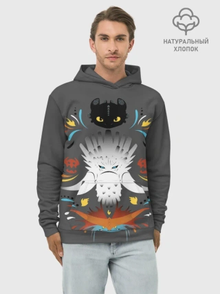 Худи мужской база хлопок / Как приручить дракона