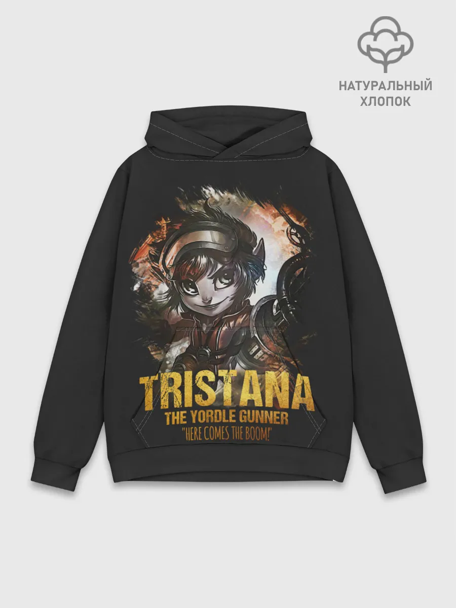 Худи мужской база хлопок / Tristana