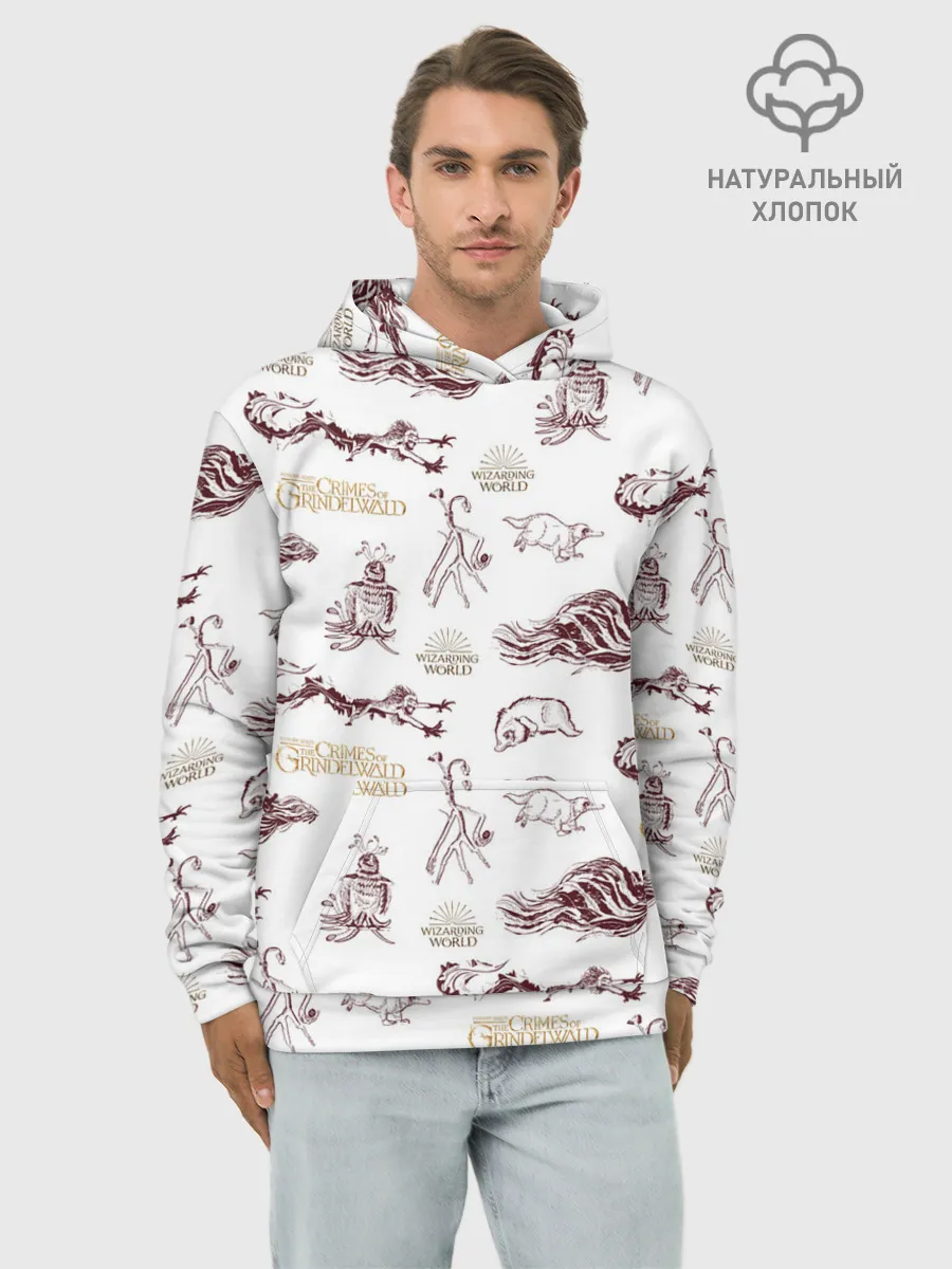 Худи мужской база хлопок / Fantastic Beasts