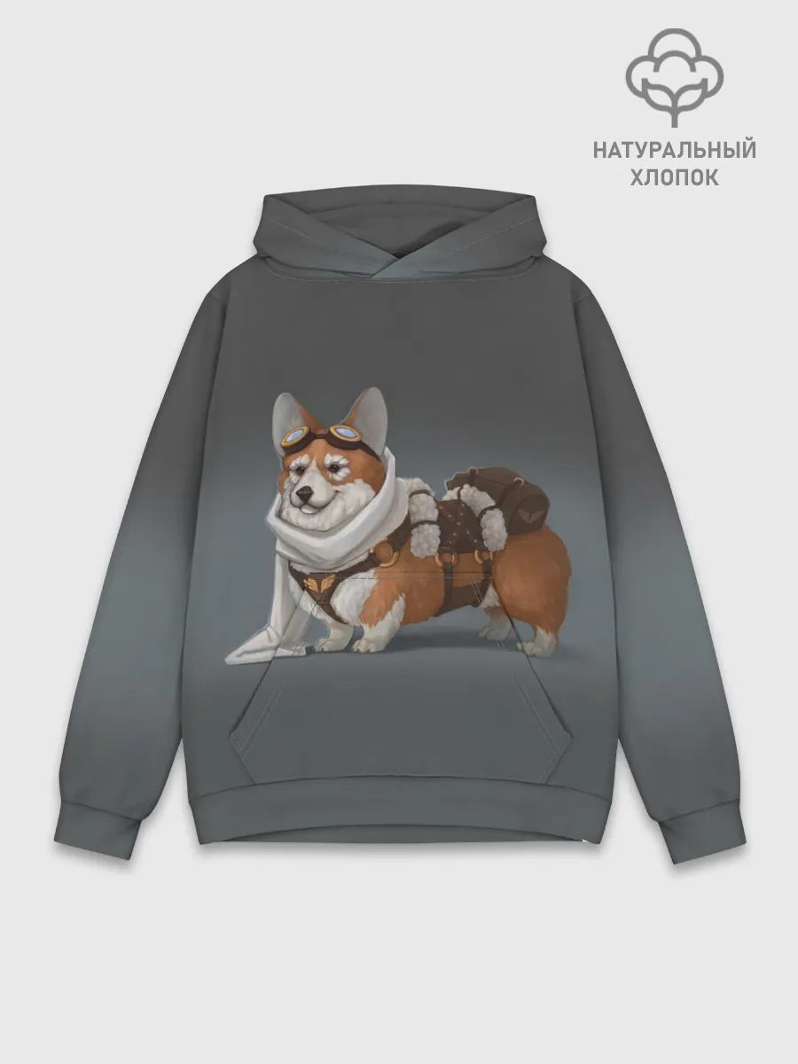 Худи мужской база хлопок / КОРГИ ПИЛОТ