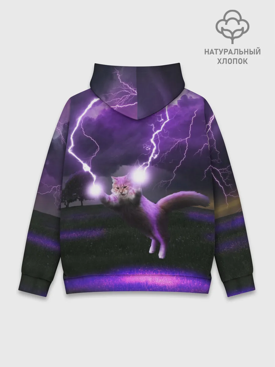 Худи мужской база хлопок / Кот и Молнии