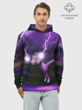 Худи мужской база хлопок / Кот и Молнии