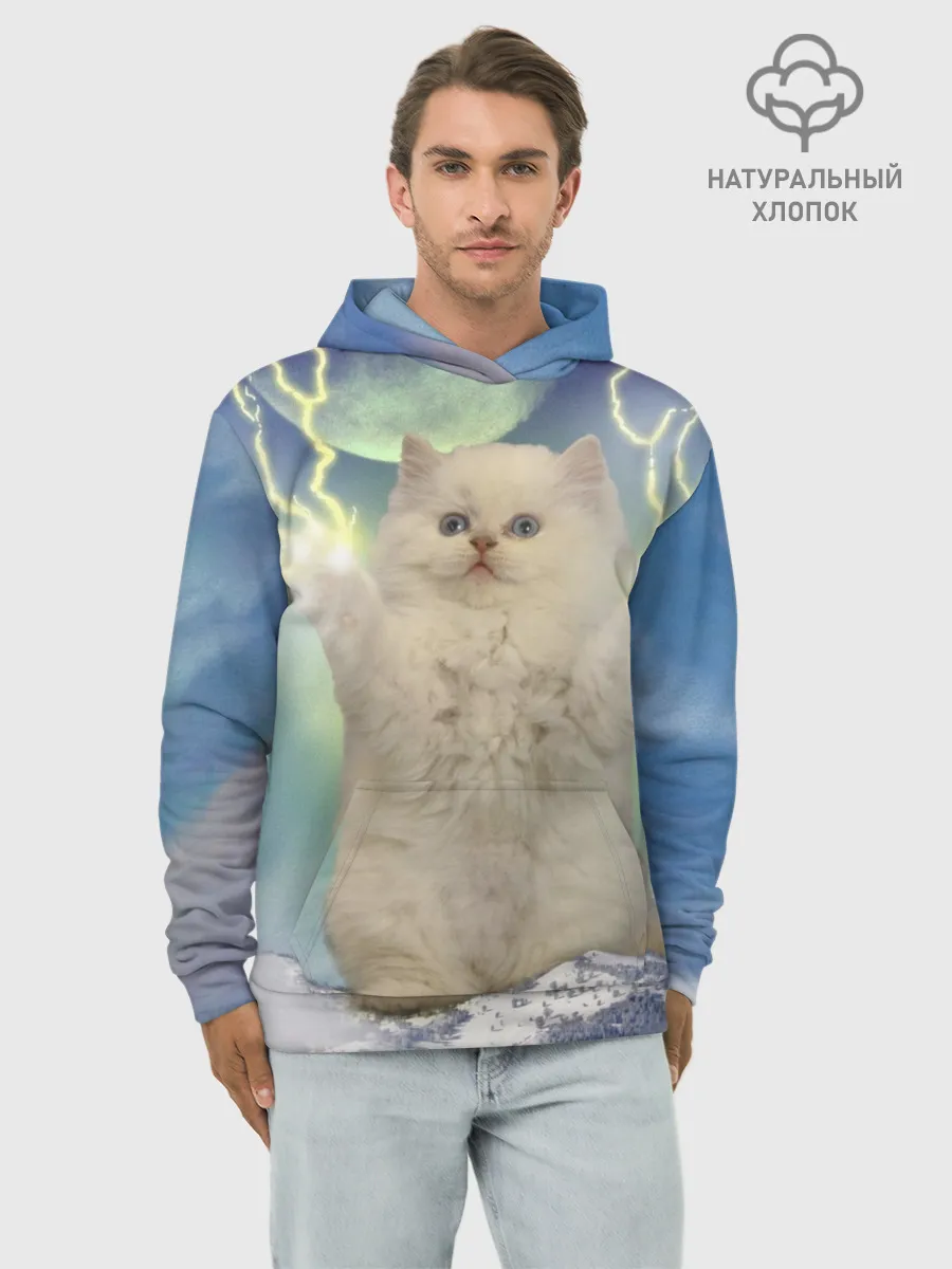 Худи мужской база хлопок / Грозовой Котик