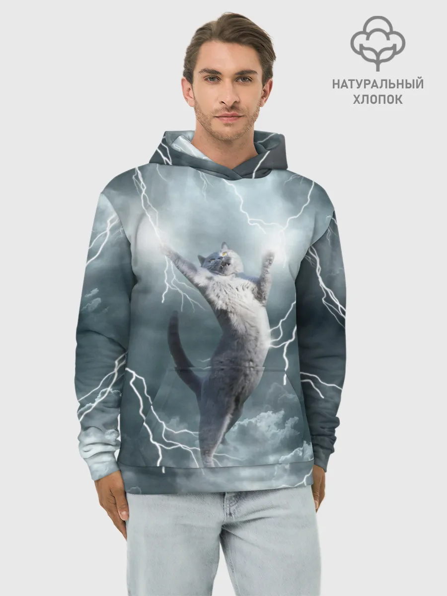 Худи мужской база хлопок / Грозовой кошак.