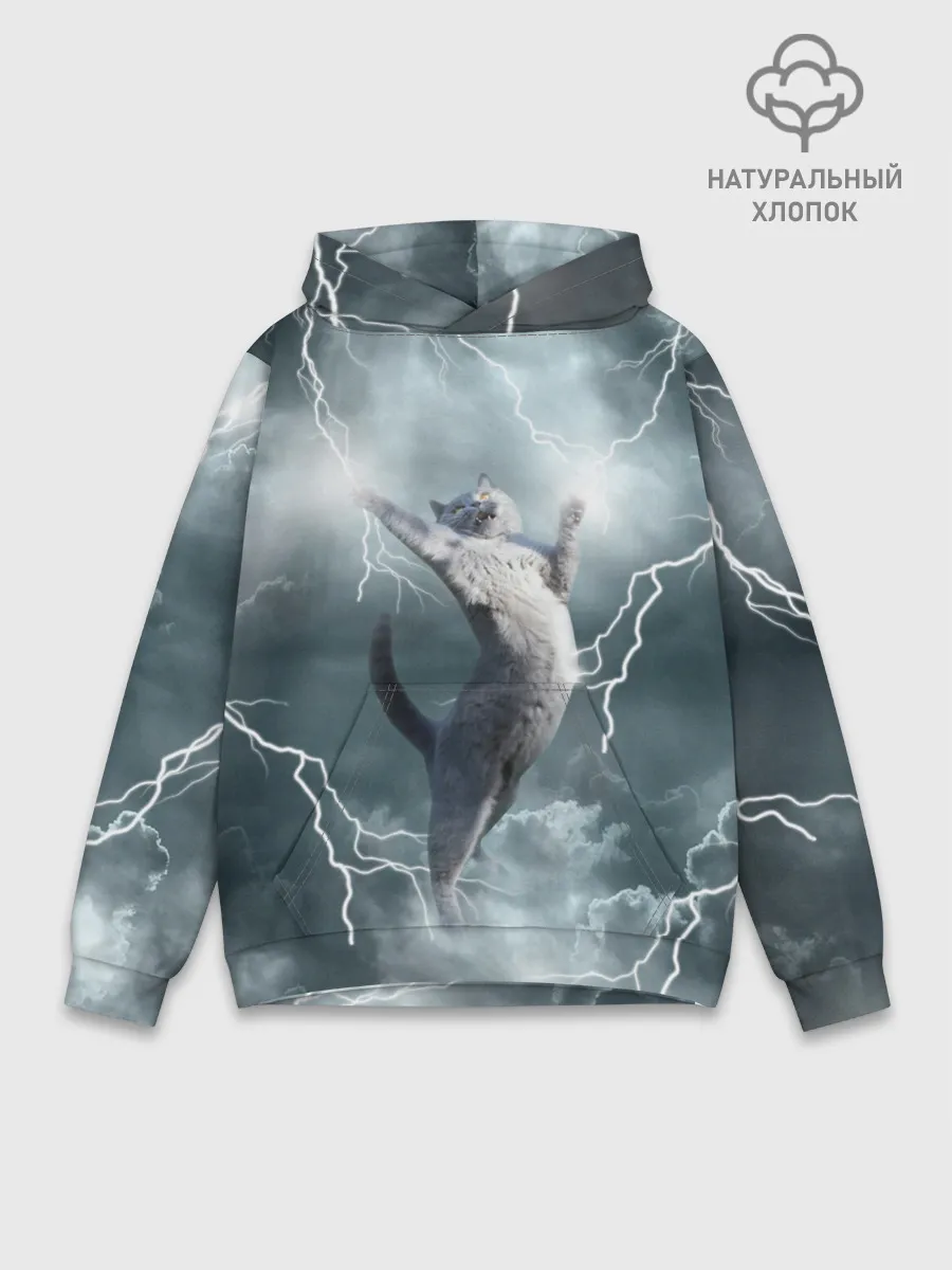 Худи мужской база хлопок / Грозовой кошак.