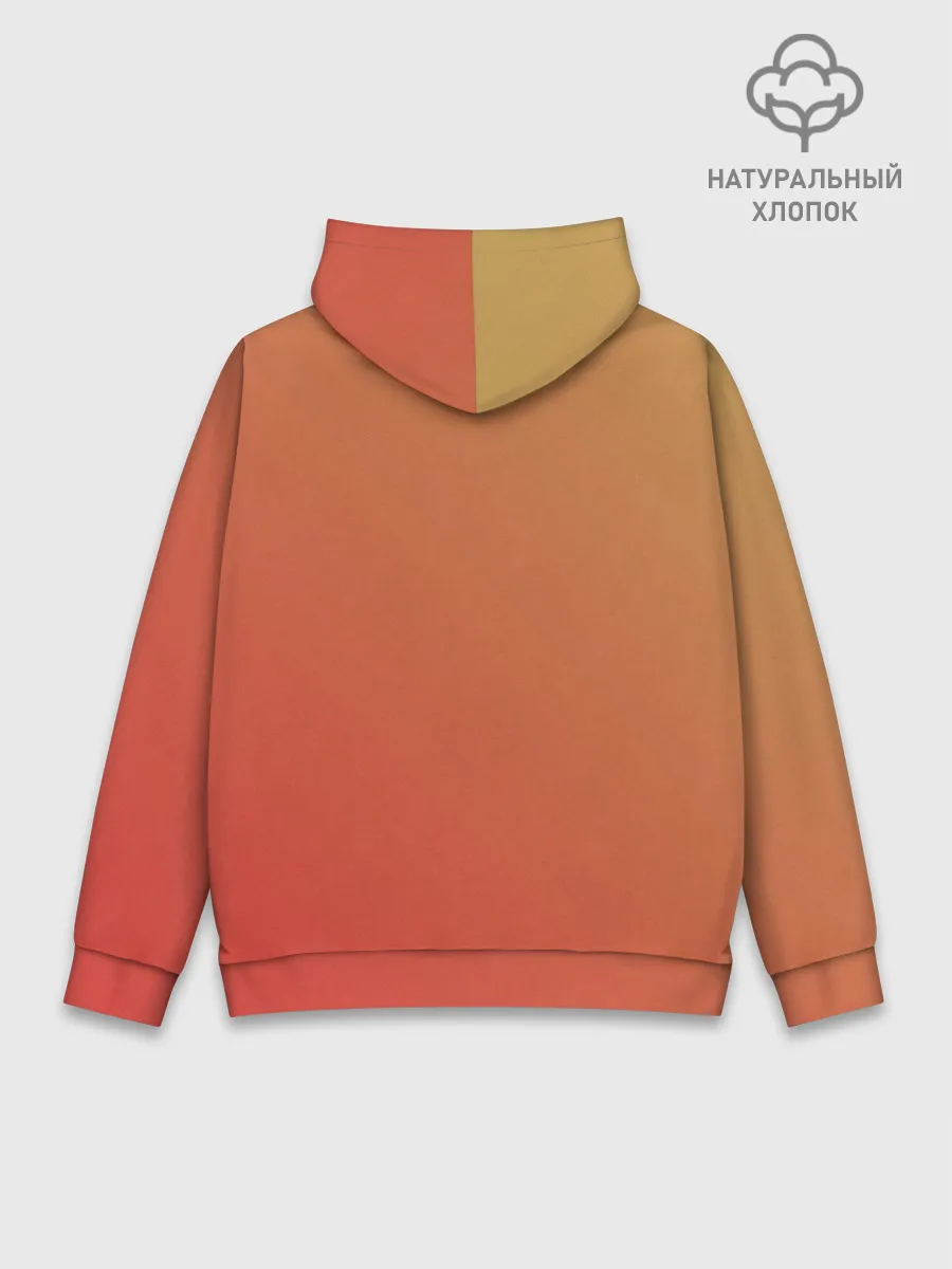 Худи мужской база хлопок / Artik & Asti