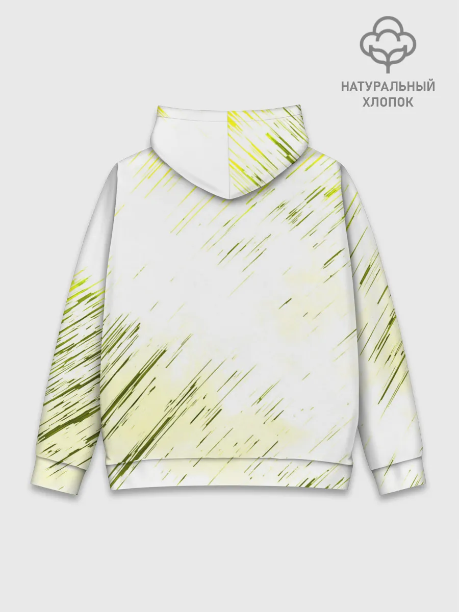 Худи мужской база хлопок / Windranger