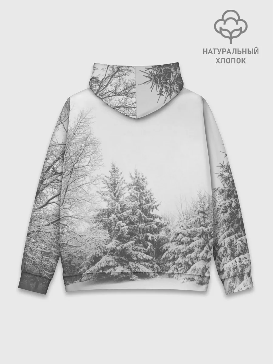 Худи мужской база хлопок / Winter Storm