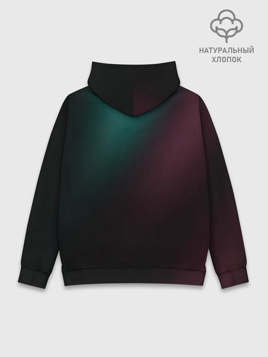 Худи мужской база хлопок / The Division 2 Logo