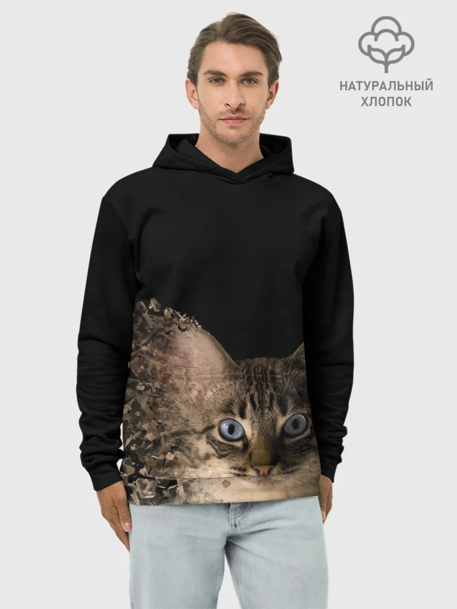 Худи мужской база хлопок / Disintegrating Cat