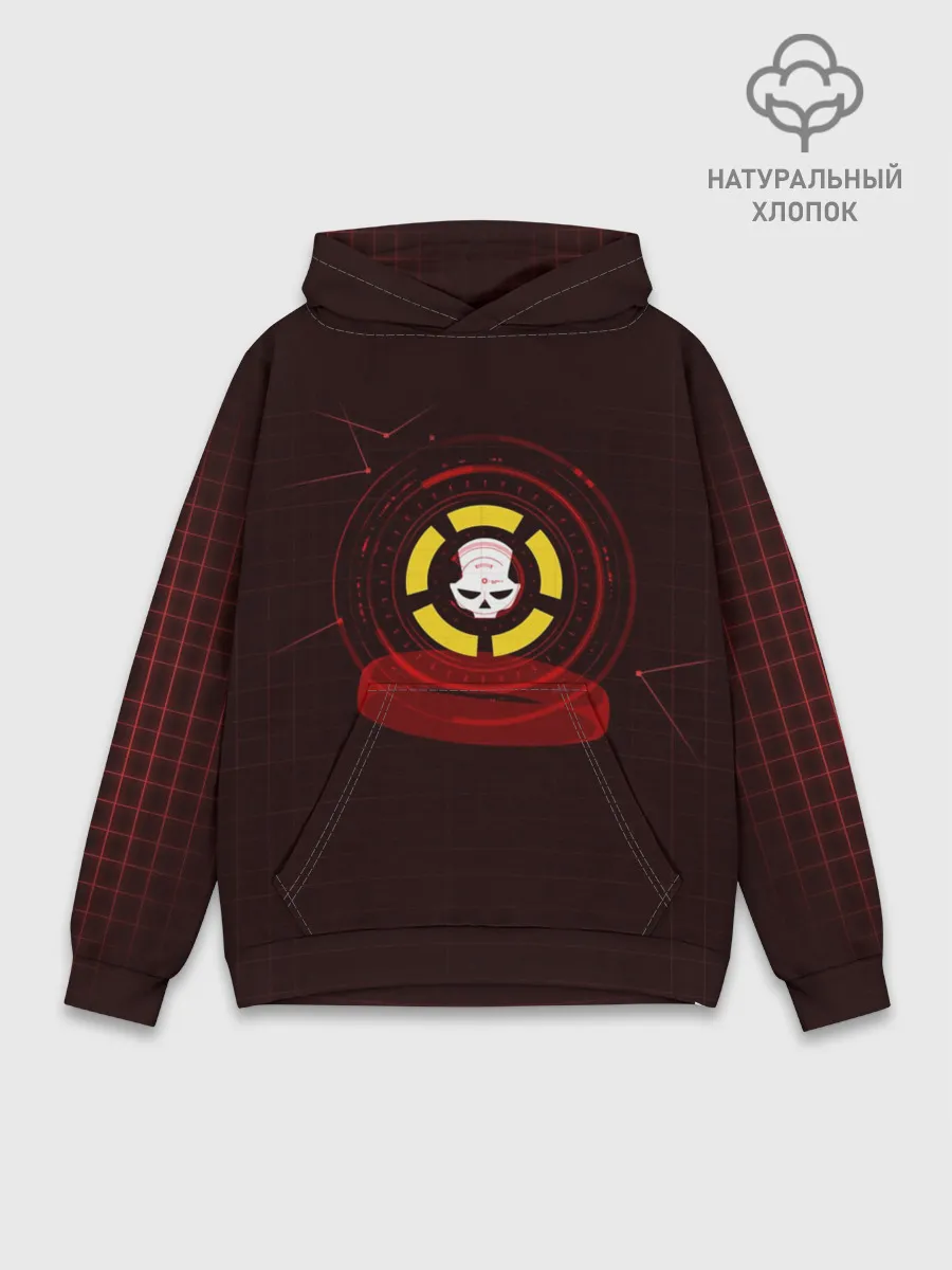 Худи мужской база хлопок / The Division 2