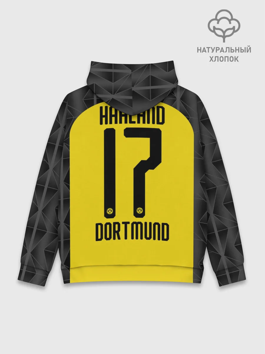 Худи мужской база хлопок / Холанд home 19-20 UEFA