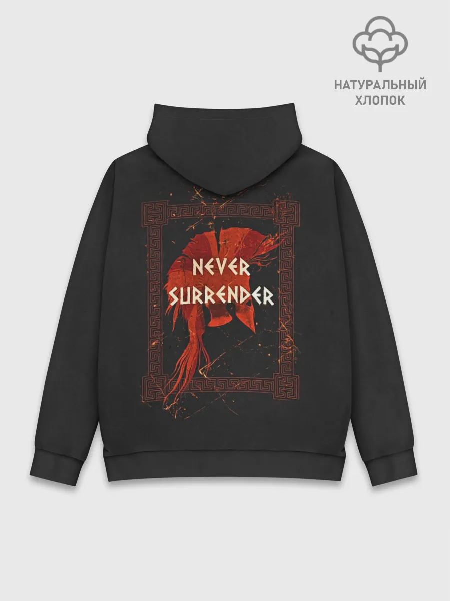 Худи мужской база хлопок / Sabaton - Sparta