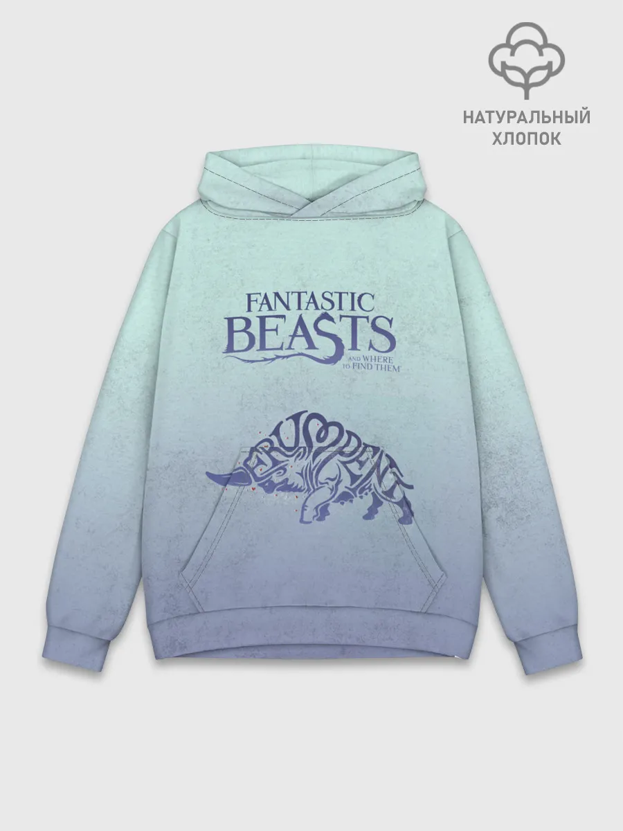 Худи мужской база хлопок / Erumpent