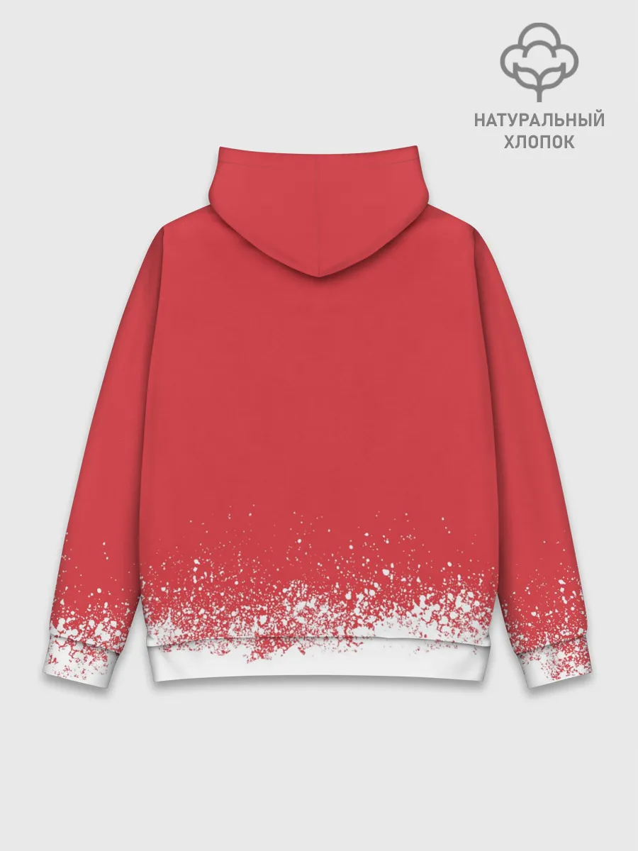 Худи мужской база хлопок / Thomas Mraz