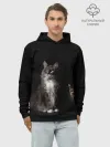 Худи мужской база хлопок / Котики